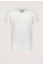 Base V-neck T-shirt